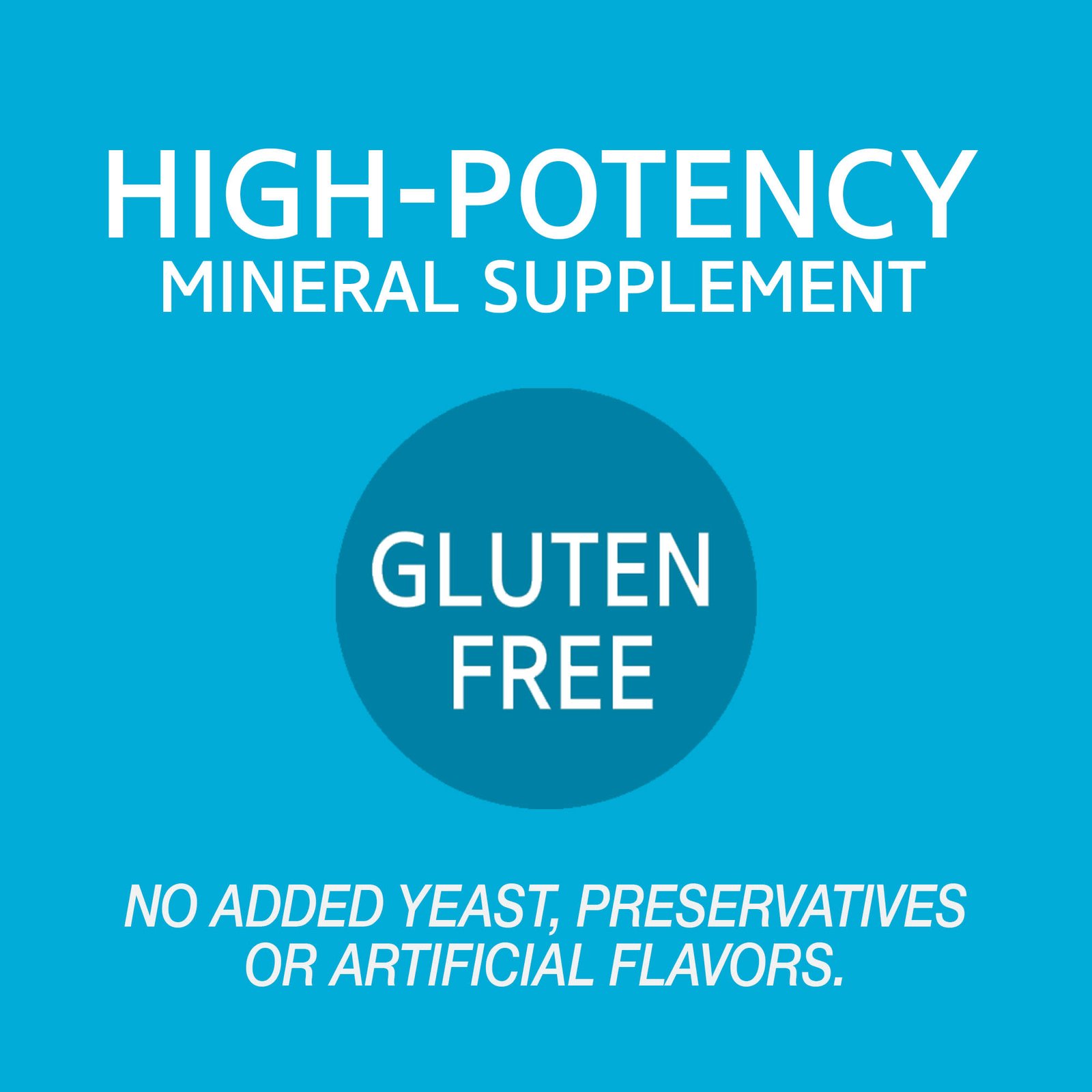21st Century, High-Potency Iron, 27 mg, 110 Easy to Swallow Tablets