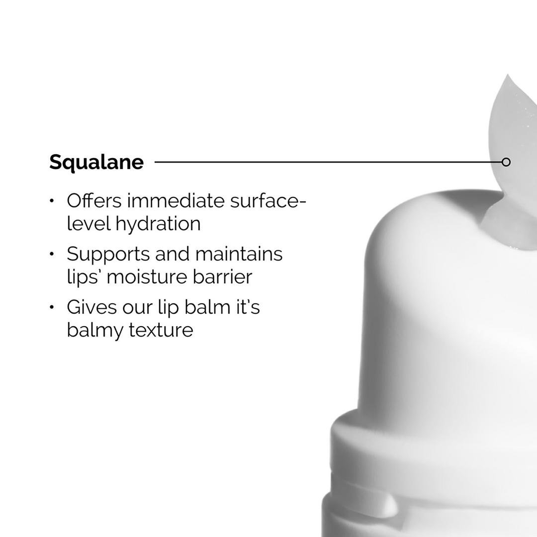 Squalane + Amino Acids Hydrating Lip Balm for Lips, Elbows, and Cuticles